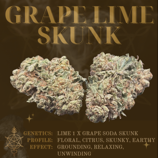 Grape Lime Skunk