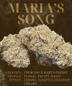 Maria's Song